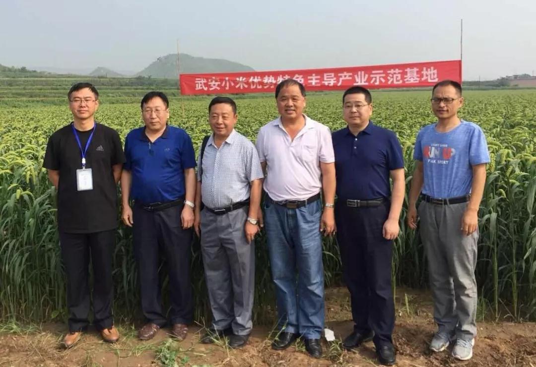 安阳复兴种业参加全国谷子种子产业发展专题研究会