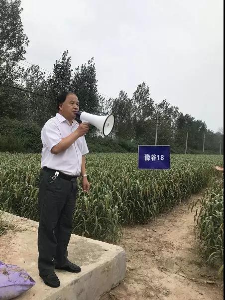 河南省谷子产业技术创新战略联盟启动会议圆满举办